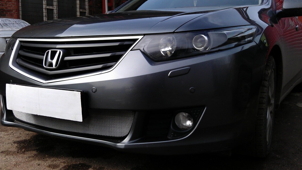 Защитная сетка радиатора для Honda Accord VIII