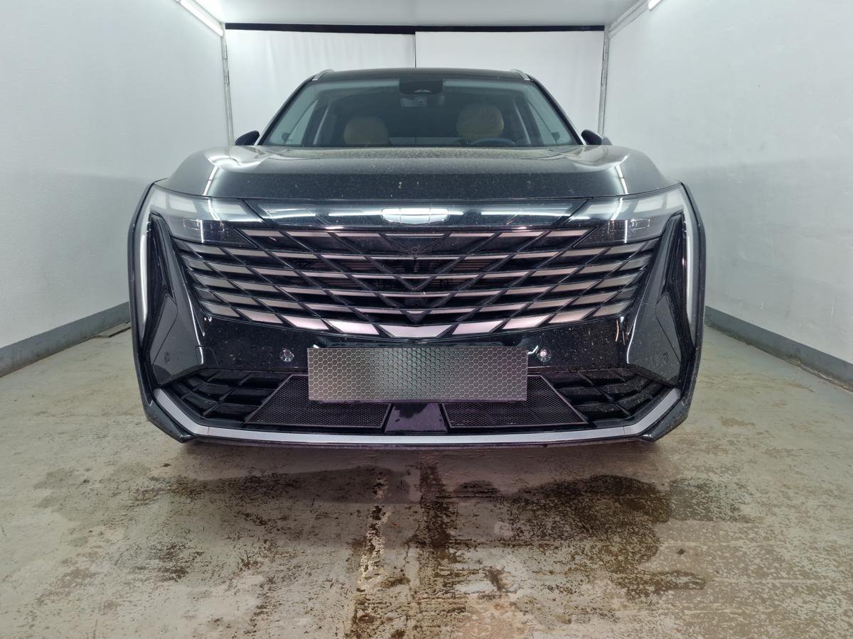 Защитная сетка радиатора низ 2 части для Geely Atlas II