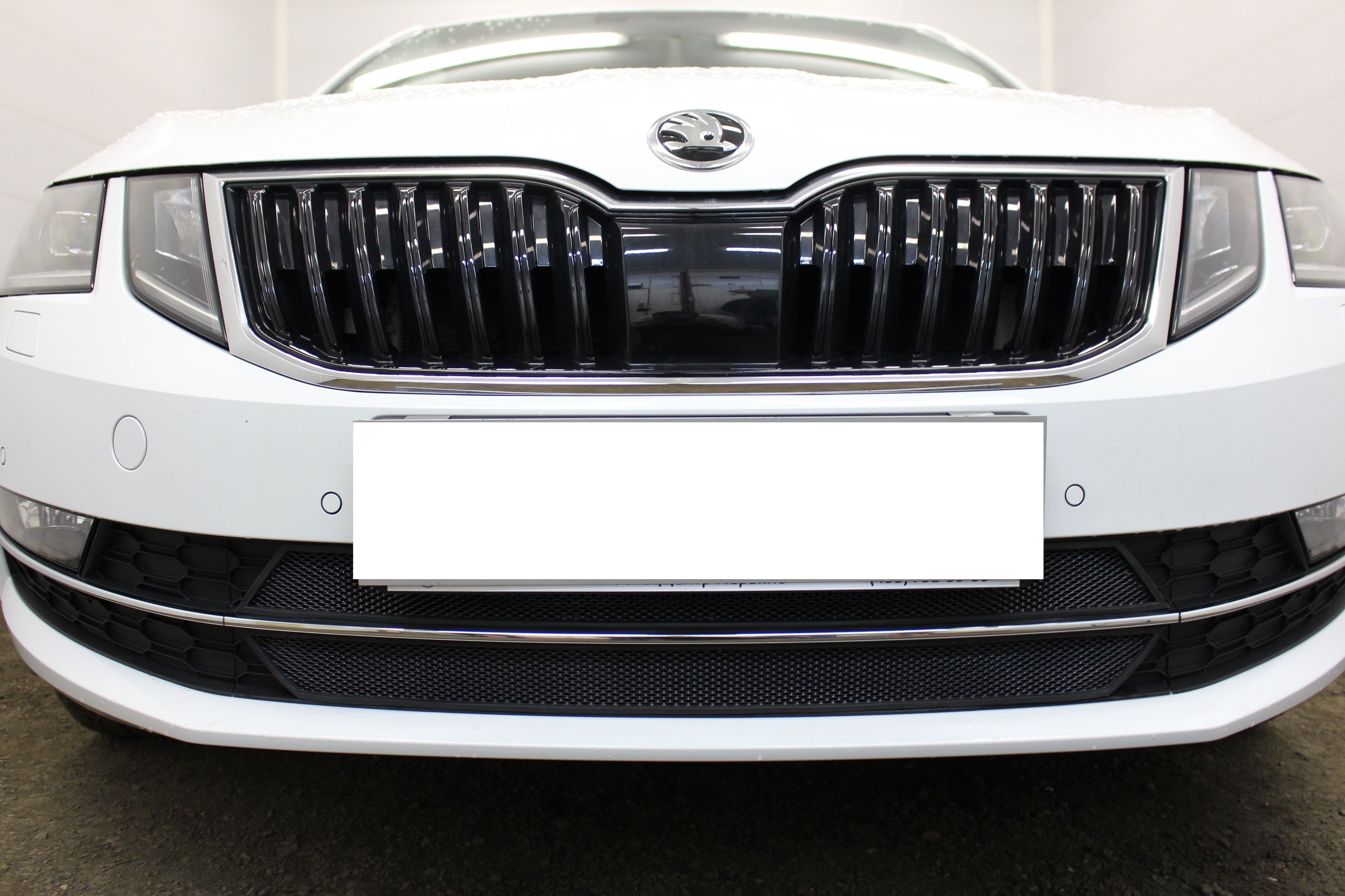 Защитная сетка радиатора для Skoda Octavia III (A7) Рестайлинг