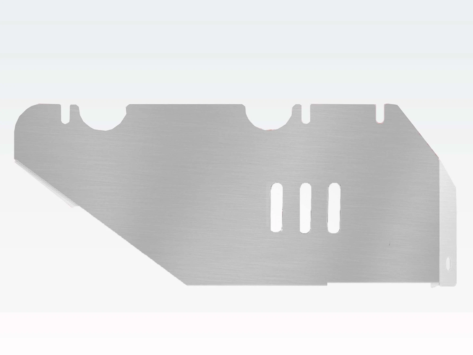 Защита РК для TANK 300  Alfeco ALF6604AL