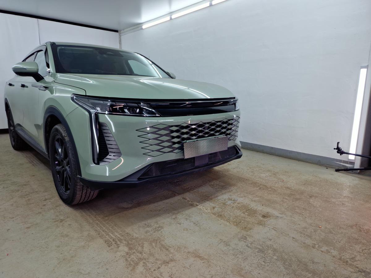 Защитная сетка радиатора низ 2 части для EXEED RX