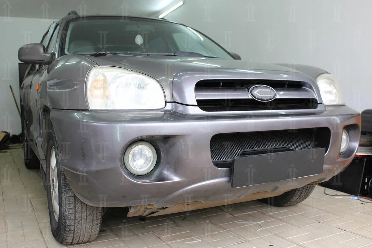 Защитная сетка радиатора низ для Hyundai Santa Fe I