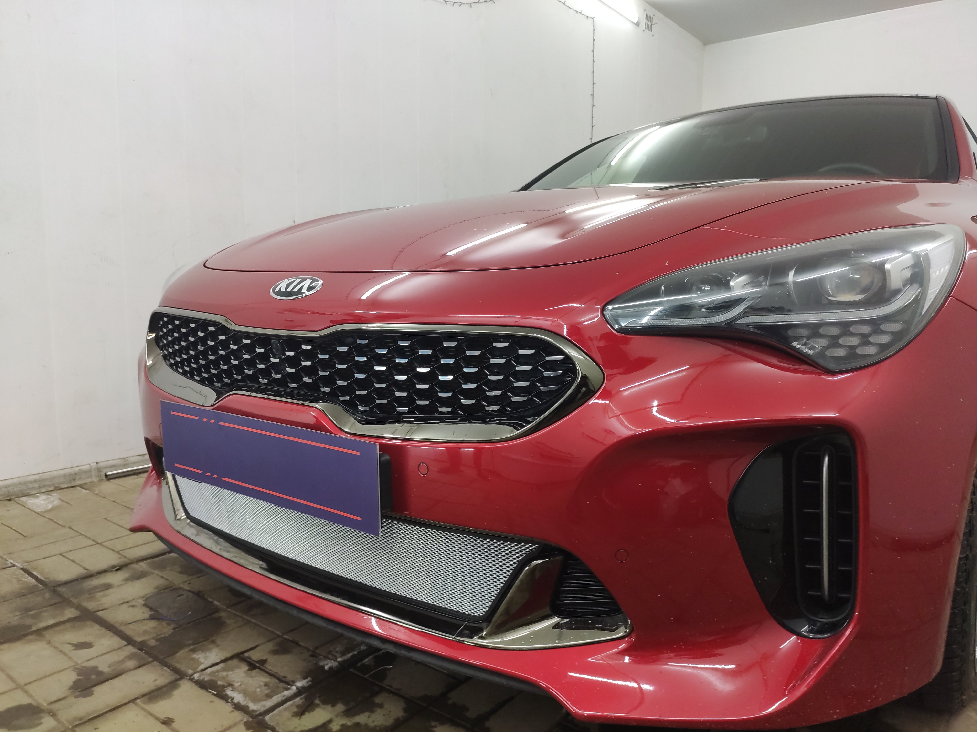 Защитная сетка радиатора низ для Kia Stinger I