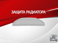 Защита радиатора для Ford S-MAX I Рестайлинг