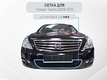 Защитная сетка радиатора для Nissan Teana II