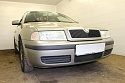 Защитная сетка радиатора для Skoda Octavia I (A4) Рестайлинг