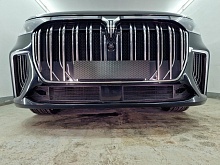 Защитная сетка радиатора низ 2 части для Voyah Dream I