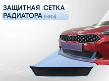 Защитная сетка радиатора низ для Kia Stinger I