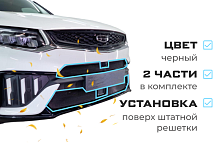 Комплект сеток black верх с камерой и низ с датчиками для Geely Tugella I Рест