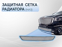 Защитная сетка радиатора низ для Kia Carnival (YP) III Рестайлинг