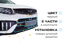 Комплект сеток black верх с камерой и низ с датчиками для Geely Tugella I Рест