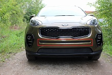 Защитная сетка радиатора центр для Kia Sportage IV
