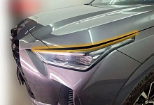 Накладки на фары для GAC GS4 I