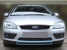 Защитная сетка радиатора 2 части для Ford Focus II