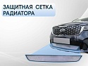 Защитная сетка радиатора для Kia Sorento III Prime Рестайлинг