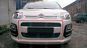 Защитная сетка радиатора комплект 2 части для Citroen C3 Picasso I Рестайлинг