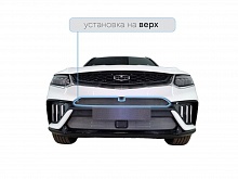 Защитная сетка радиатора верх, с камерой для Geely Tugella I Рест
