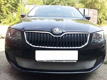 Защитная сетка радиатора для Skoda Octavia III (A7) Рестайлинг