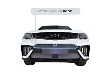 Защитная сетка радиатора верх, с камерой для Geely Tugella I Рест