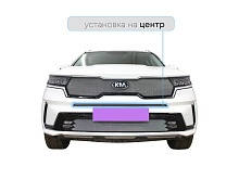 Защитная сетка радиатора центр для Kia Sorento IV