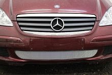 Защитная сетка радиатора для Mercedes-Benz A-Класс II (W169)