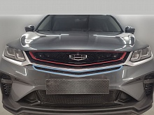 Защитная сетка радиатора центр для Geely Coolray I