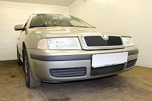 Защитная сетка радиатора для Skoda Octavia I (A4) Рестайлинг