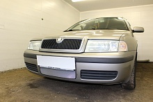 Защитная сетка радиатора для Skoda Octavia I (A4) Рестайлинг