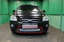 Защитная сетка радиатора для Kia Carens II (UN)