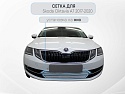 Защитная сетка радиатора для Skoda Octavia III (A7) Рестайлинг