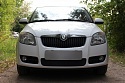 Защитная сетка радиатора для Skoda Roomster I Рестайлинг