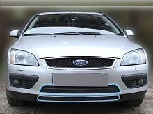Защитная сетка радиатора 2 части для Ford Focus II